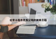 北京小程序开发公司的简单介绍