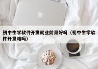 初中生学软件开发就业前景好吗（初中生学软件开发难吗）