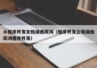 小程序开发文档湖南岚鸿（程序开发公司湖南岚鸿程序开发）