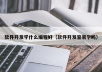 软件开发学什么编程好（软件开发容易学吗）