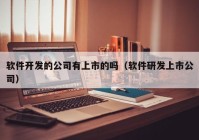 软件开发的公司有上市的吗（软件研发上市公司）