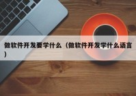 做软件开发要学什么（做软件开发学什么语言）