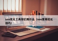 seo优化工具你们用什么（seo常用优化技巧）