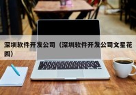 深圳软件开发公司（深圳软件开发公司文星花园）