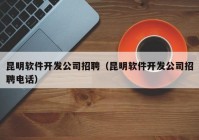 昆明软件开发公司招聘（昆明软件开发公司招聘电话）