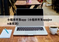 小程序开发app（小程序开发appjson未找到）