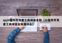 qq小程序开发者工具项目名称（小程序开发者工具项目名称是什么）