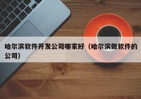 哈尔滨软件开发公司哪家好（哈尔滨做软件的公司）