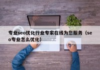 专业seo优化行业专家在线为您服务（seo专业怎么优化）