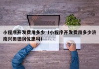 小程序开发费用多少（小程序开发费用多少济南兴田德润优惠吗）