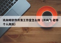 巩向明软件开发工作室怎么样（巩向飞 老师个人简历）