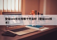 整站seo优化找哪个平台好（整站seo技术）