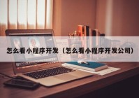 怎么看小程序开发（怎么看小程序开发公司）