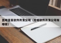 昆明呈贡软件开发公司（昆明软件开发公司有哪些）