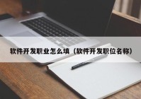 软件开发职业怎么填（软件开发职位名称）