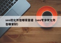 seo优化外包哪家靠谱（seo专业优化外包哪家好）