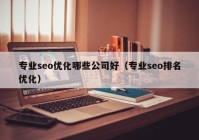 专业seo优化哪些公司好（专业seo排名优化）