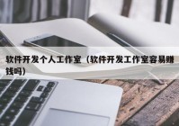 软件开发个人工作室（软件开发工作室容易赚钱吗）