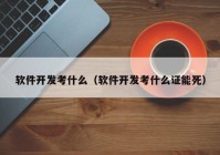 软件开发考什么（软件开发考什么证能死）