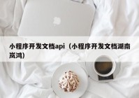 小程序开发文档api（小程序开发文档湖南岚鸿）